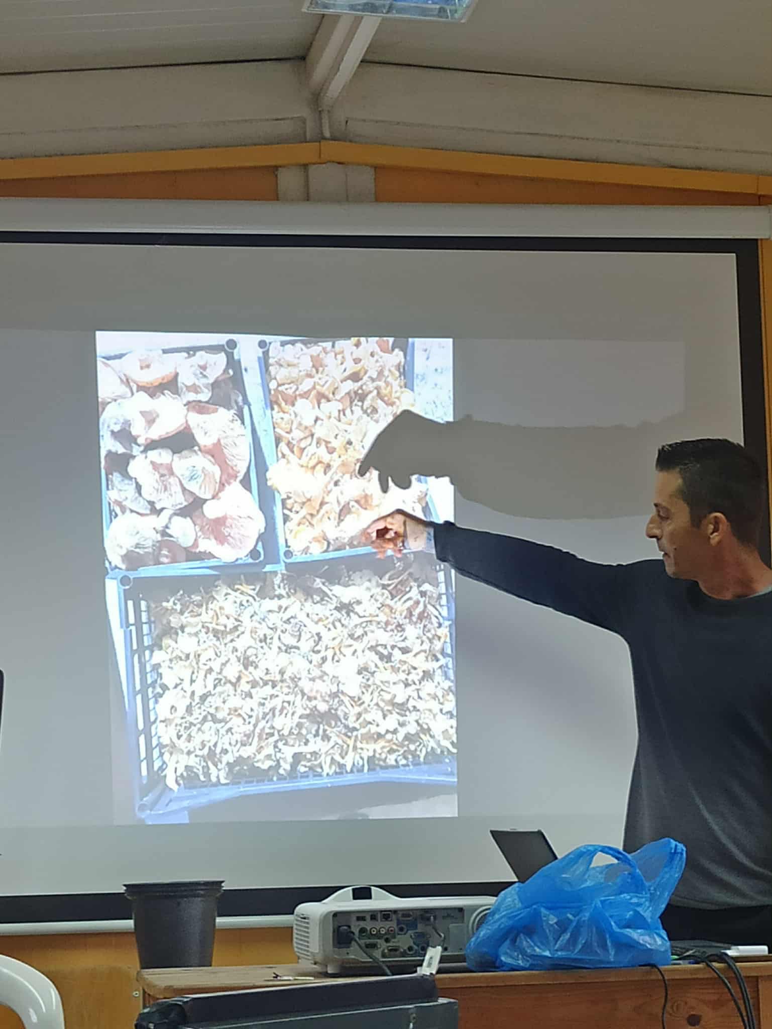 1A533422 0353 456C AE4E 61CA55A13FD2