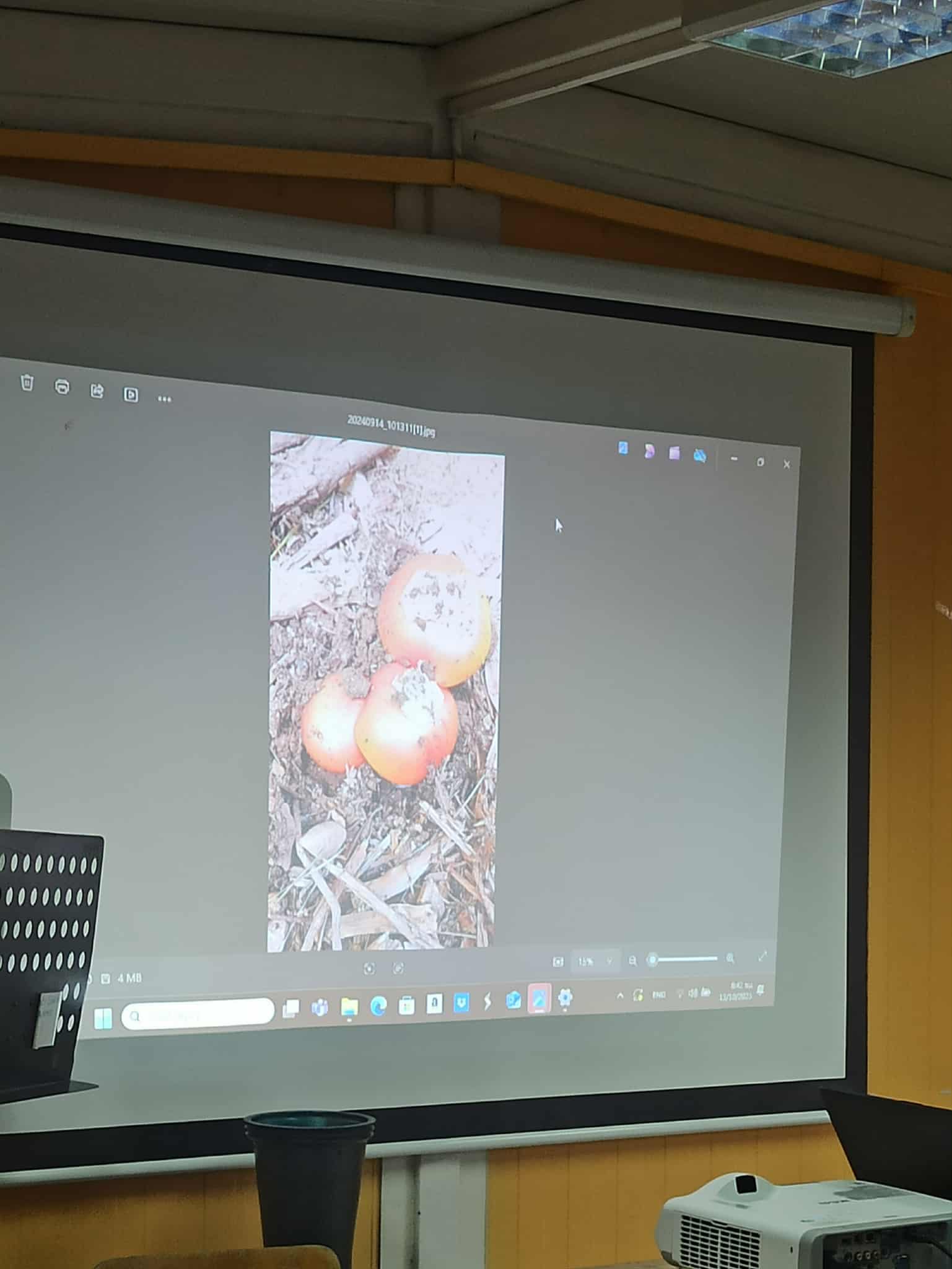 CE04AD75 BE50 44E0 AB8A F94F166D54DC